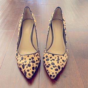 Ann Taylor Animal Print Pump